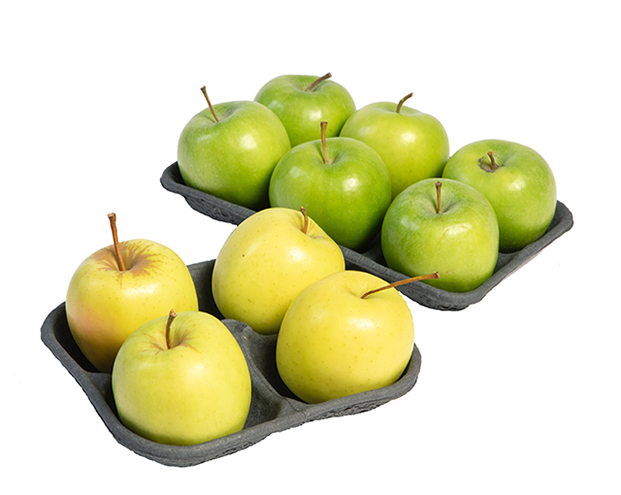 moulded pulp moulded fibre produce tray